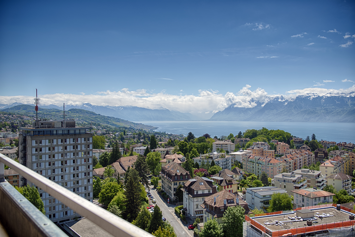 Rapport annuel du CHUV 2012