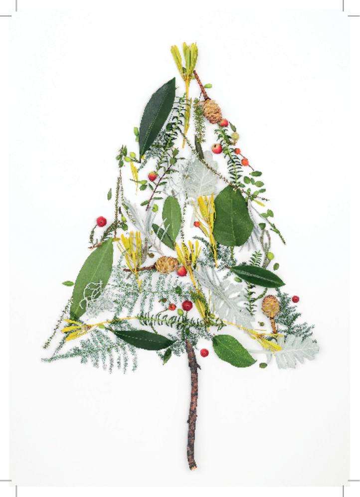 Carte de voeux 2021-2022